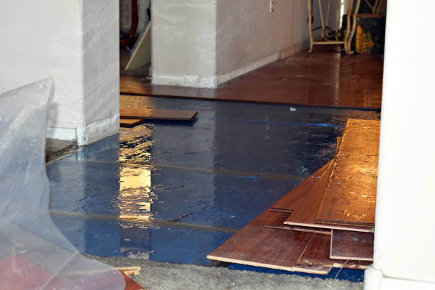 Professional Basement Flood Cleanup technician working in Londonderry, OH